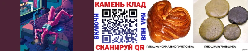 ГАШ гарик Красноярск