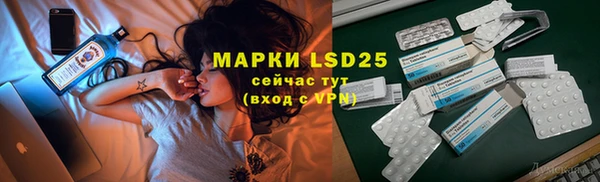спиды Аркадак